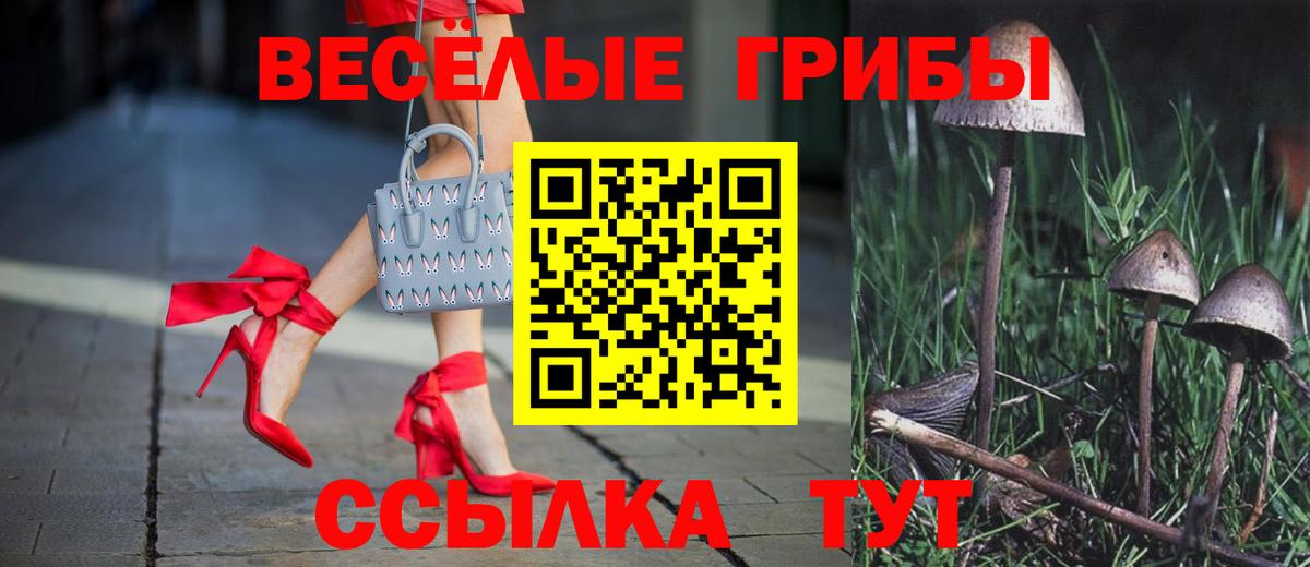 купить закладку  Вход с VPN  Геленджик  Псилоцибиновые грибы Psilocybe 