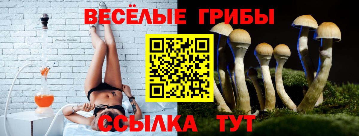 Псилоцибиновые грибы GOLDEN TEACHER Геленджик